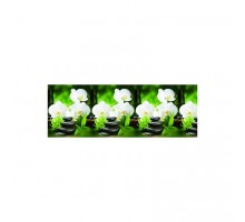 Фартук кухонный АБС 3000-600-1,5мм Орхидея белая STELLA