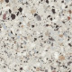 Керамогранит FANCY STONE  420*420*9  16099 (FS4R452)