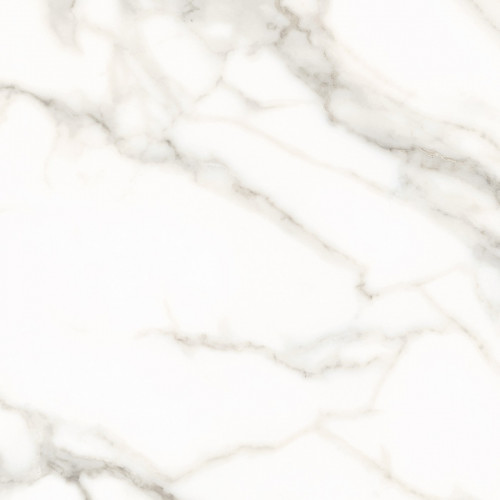 Керамогранит STEPPE Carrara White 600х600