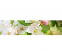 Фартук кухонный АБС 3000-600-1,5мм Яблочый цвет STELLA